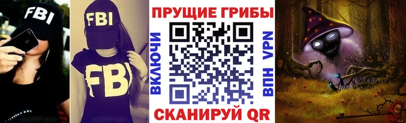 наркота  Архангельск  Галлюциногенные грибы Cubensis 